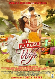 "My Illegal Wife" (2014) WEBRip.XviD-AQOS